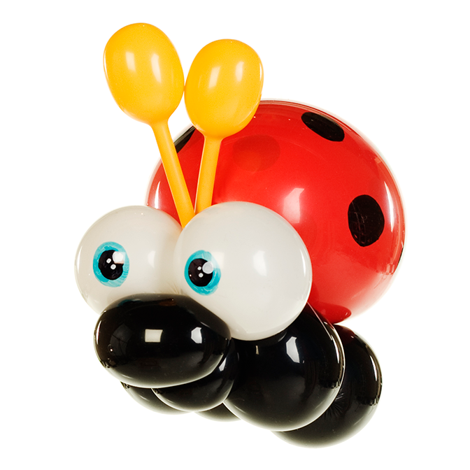Balloncreatie van De Ballonvouwer